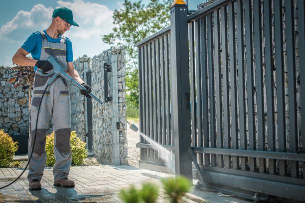 Best Gutter Cleaning  in Galena, IL